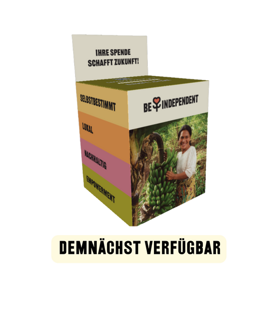 Spendenbox